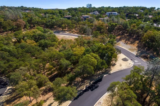 a view of a forest with a park