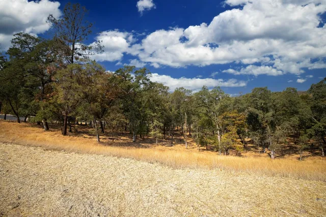 a view of swimming pool and trees in the background