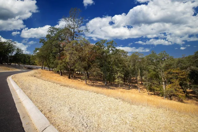 a view of a backyard of the house