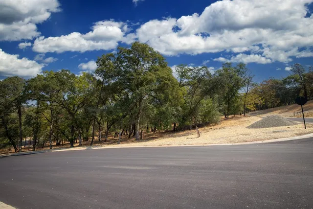 a view of road and city