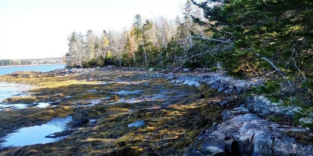0 Back Shore Road Steuben, ME 04680 - Photo 1 of 16 Photo
