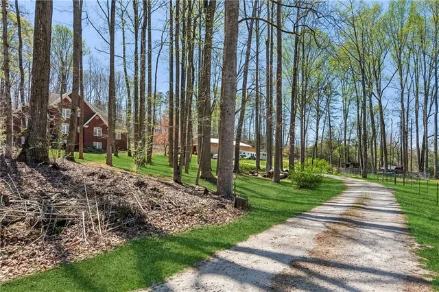 a view of a swimming pool with a yard