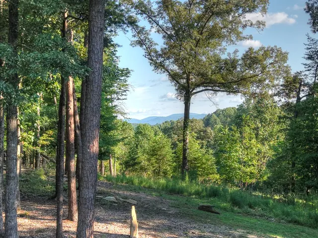 $829,900 | 275 Autumn Ridge Drive, Mineral Bluff, GA 30559