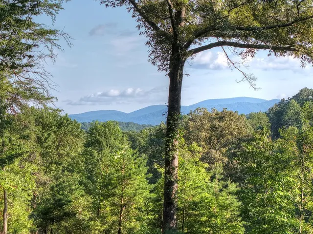 $829,900 | 275 Autumn Ridge Drive, Mineral Bluff, GA 30559