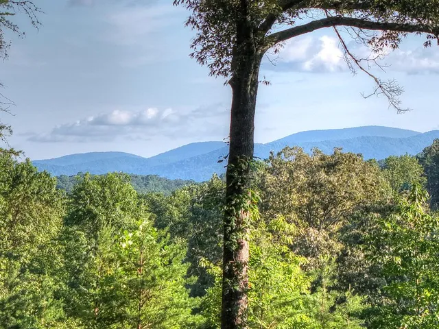 $829,900 | 275 Autumn Ridge Drive, Mineral Bluff, GA 30559