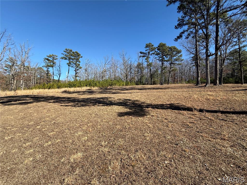 10745 Ridgely Road Potosi, MO 63664 - Photo 11 of 49