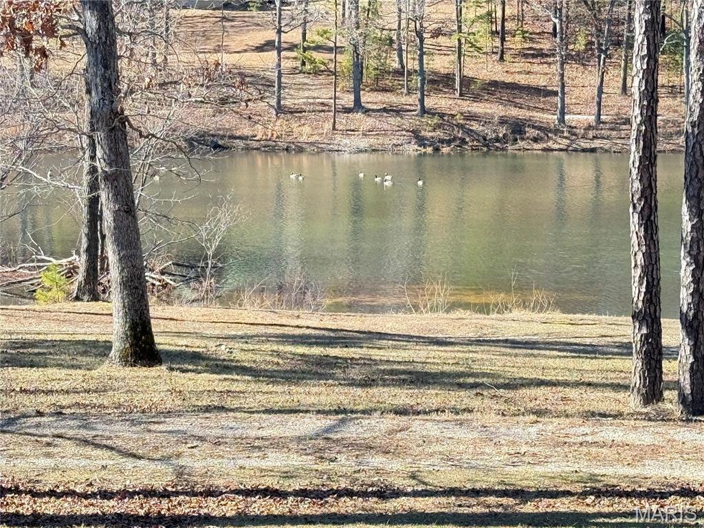 10745 Ridgely Road Potosi, MO 63664 - Photo 15 of 49