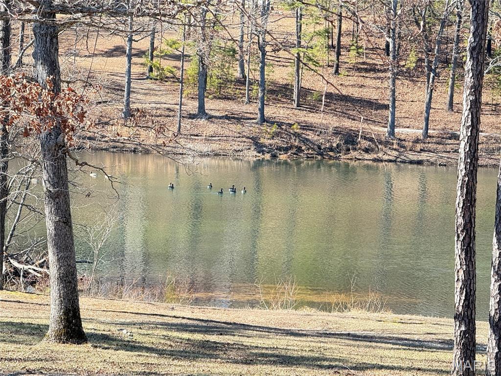 10745 Ridgely Road Potosi, MO 63664 - Photo 16 of 49