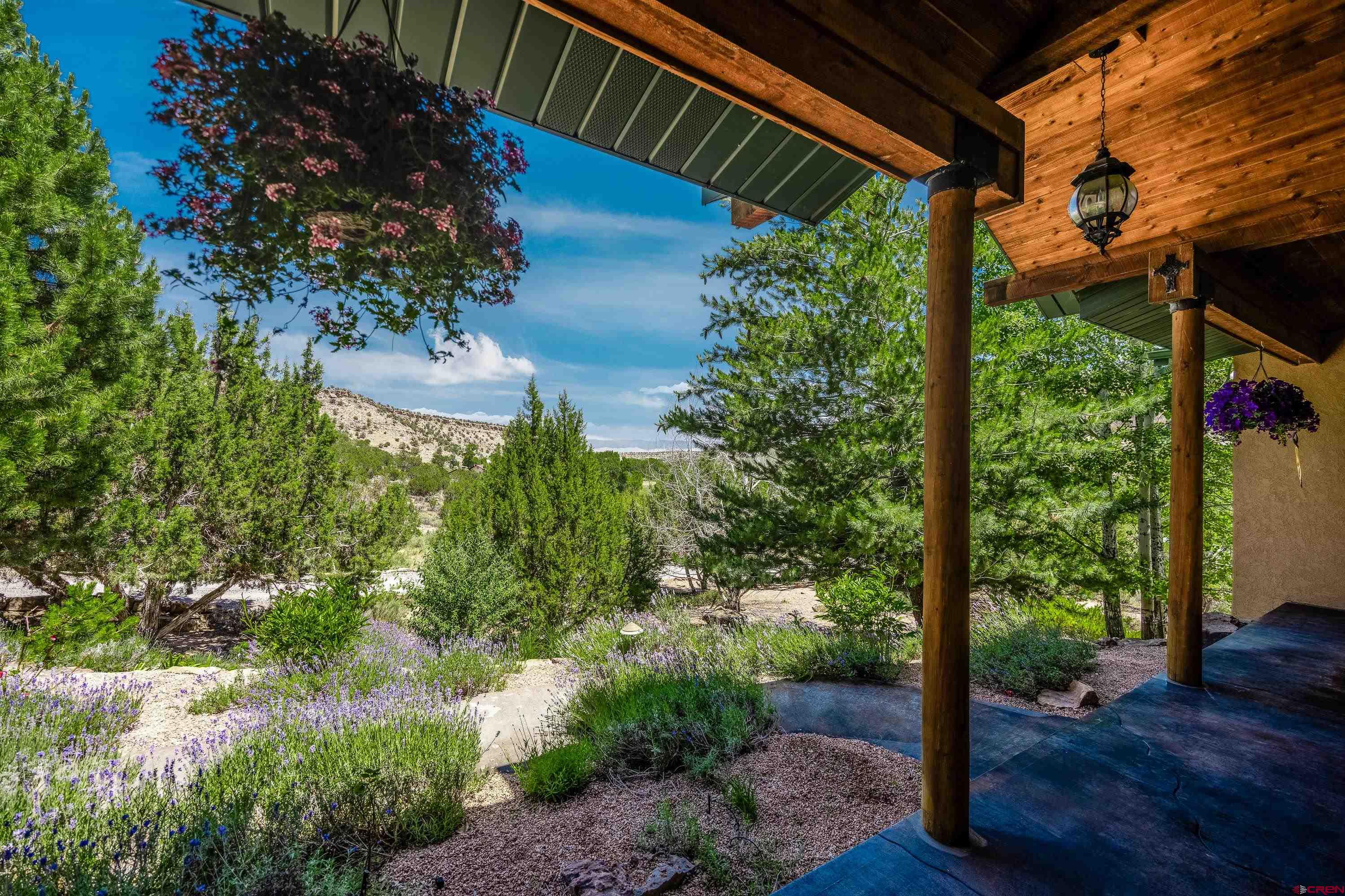 18865 Spring Canyon Road Montrose, CO 81403 - Photo 5 of 44