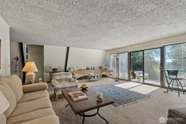 a living room with couches rug and outdoor space