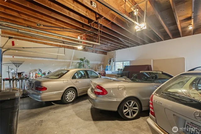 a view of a yard with plants and trees