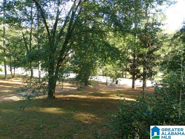 845 Old Grants Mill Road Birmingham, AL 35210 - Photo 6 of 19