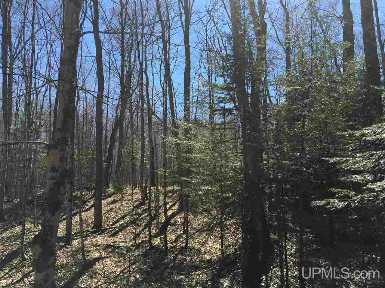 Tbd Chapel Road Munising, MI 49862 - Photo 26 of 36