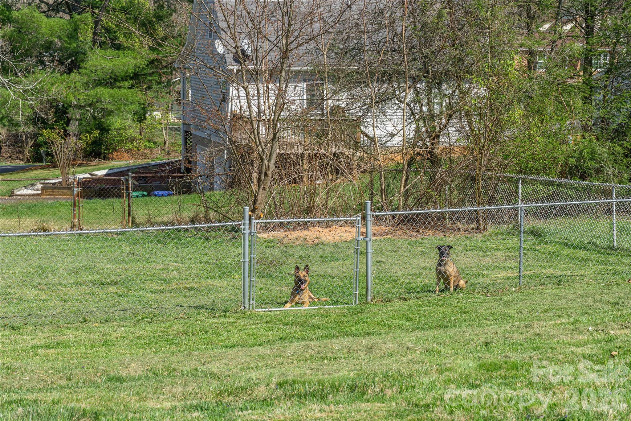 183 Mt Carmel Road Asheville, NC 28806 - Photo 10 of 23