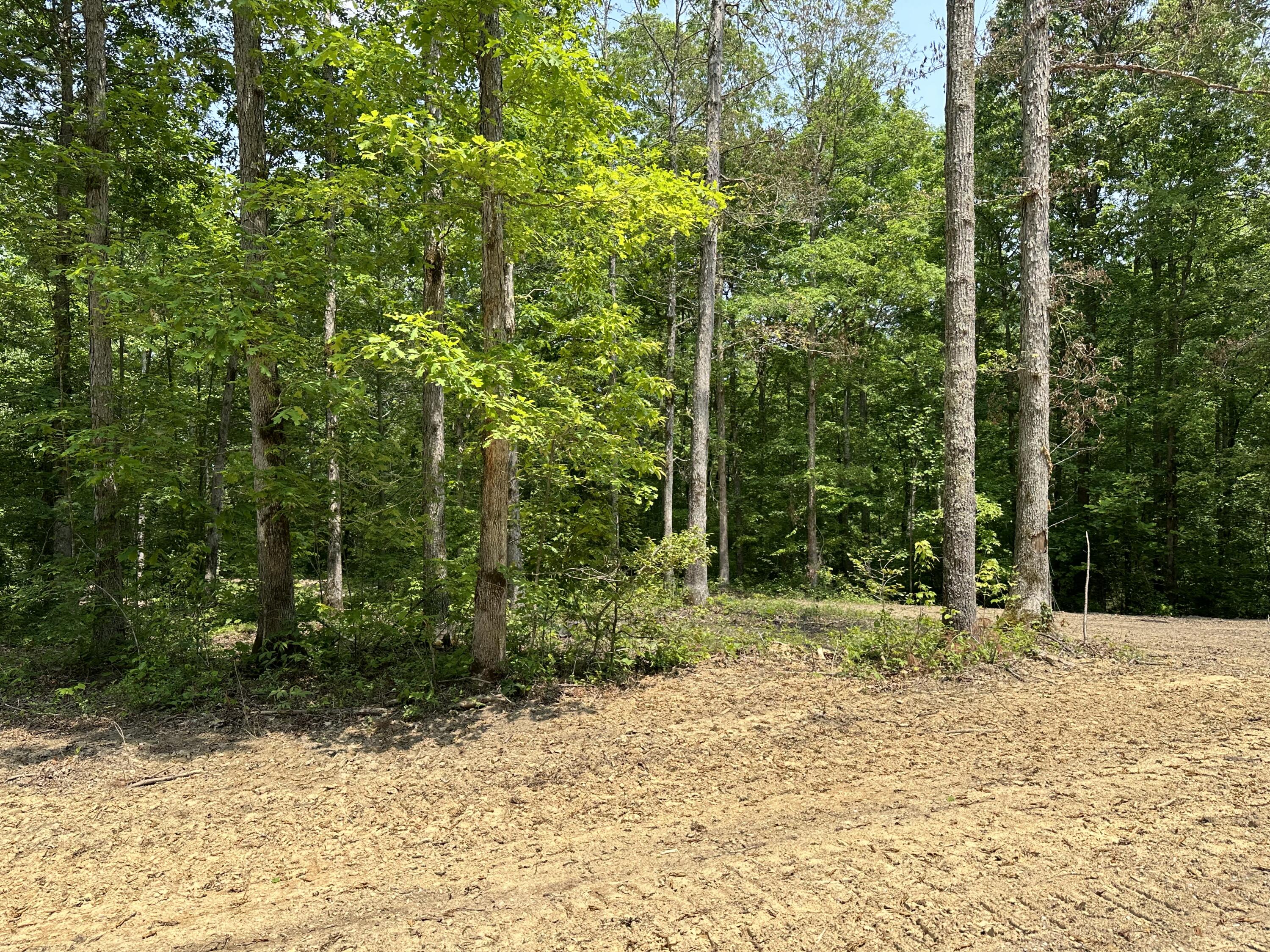 2 Big Sky Road Corbin, KY 40701 - Photo 17 of 17 IMG_5806
