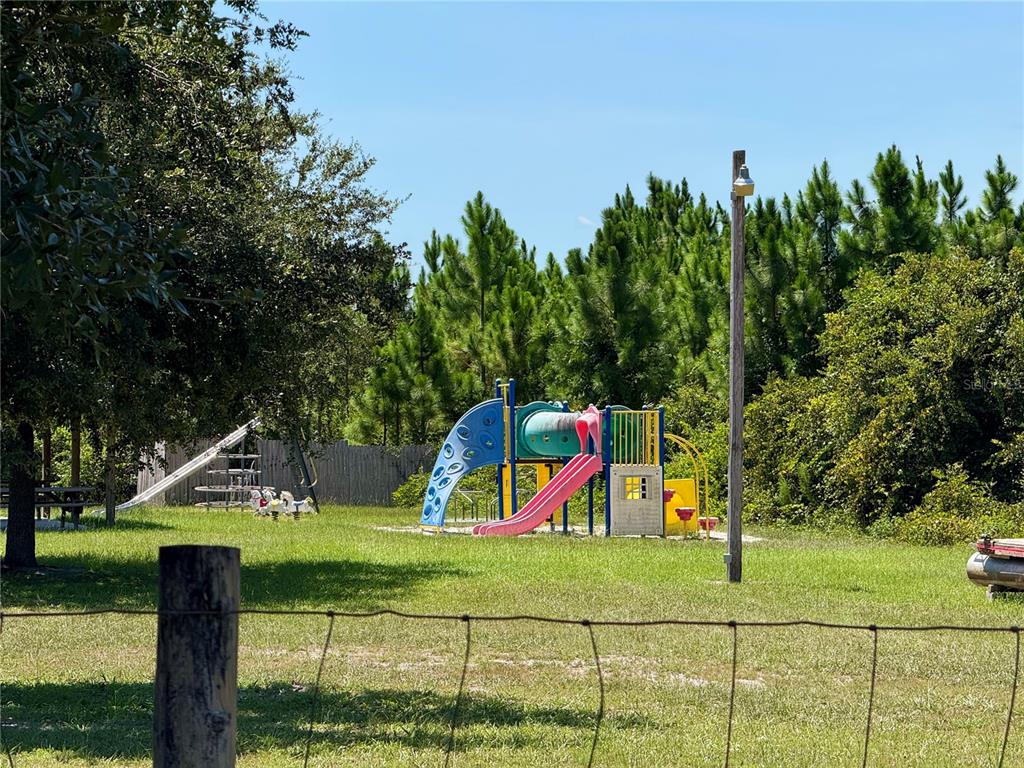 8 Honeysuckle Street Eustis, FL 32736 - Photo 23 of 27 a view of a park