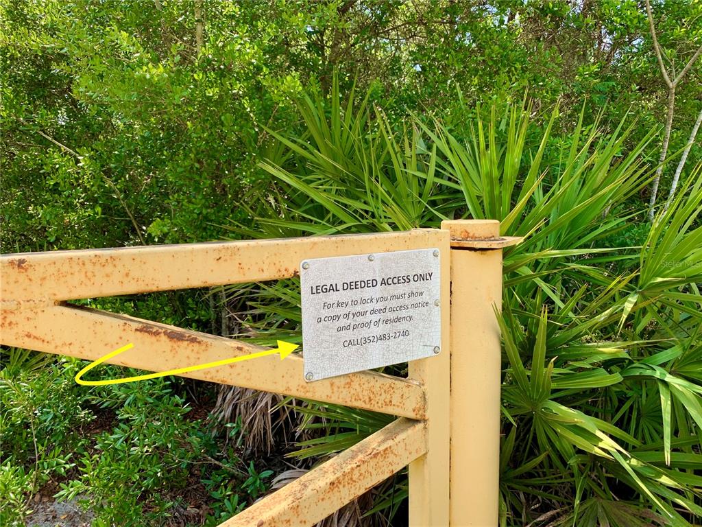 8 Honeysuckle Street Eustis, FL 32736 - Photo 26 of 27 a view of a garden