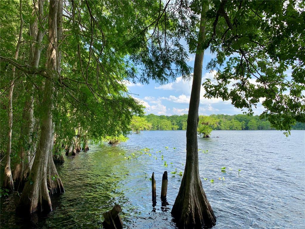 8 Honeysuckle Street Eustis, FL 32736 - Photo 27 of 27 a view of a lake with a tree
