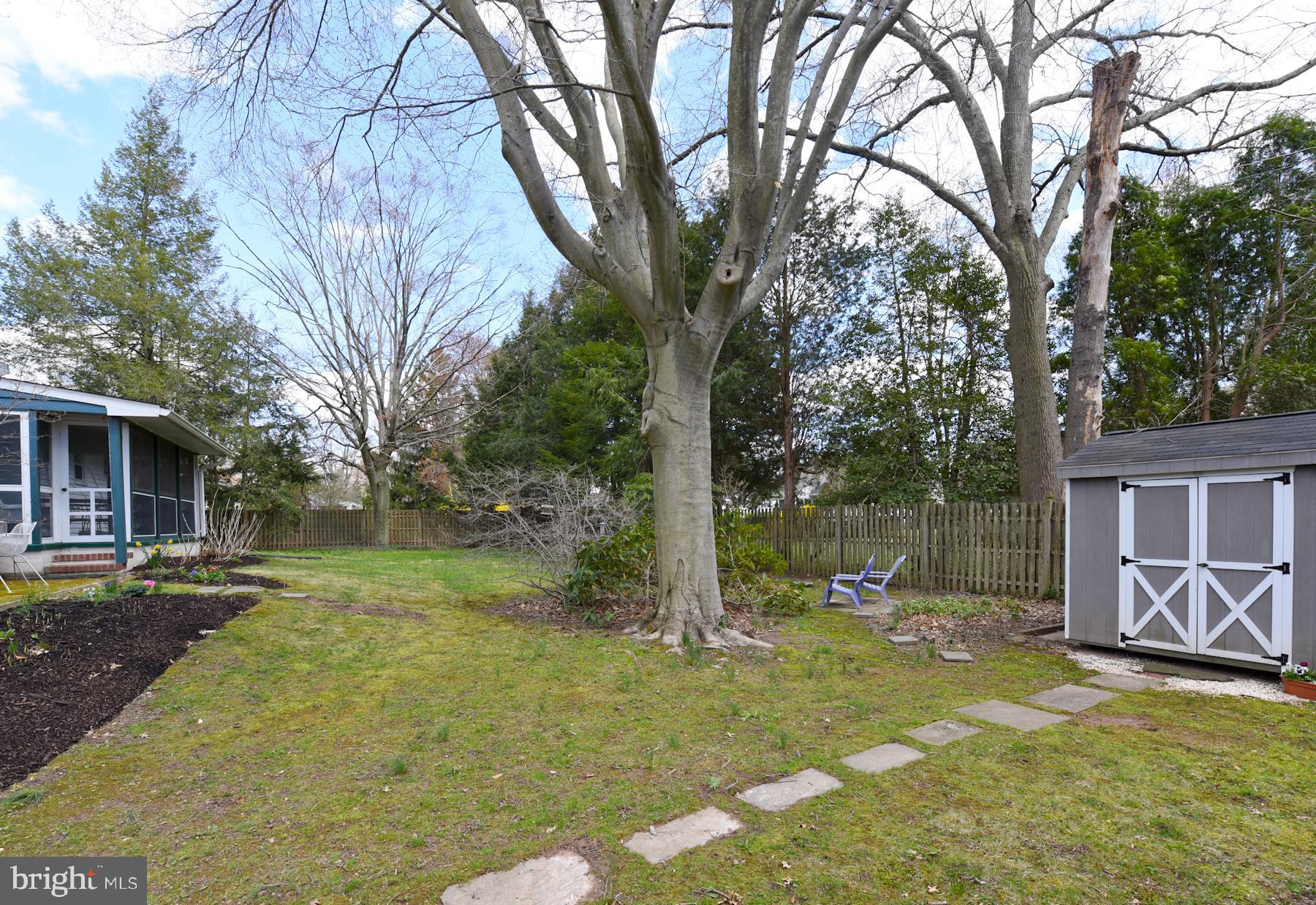 14 Federal City Road Ewing, NJ 08638 - Photo 28 of 33 Back Yard