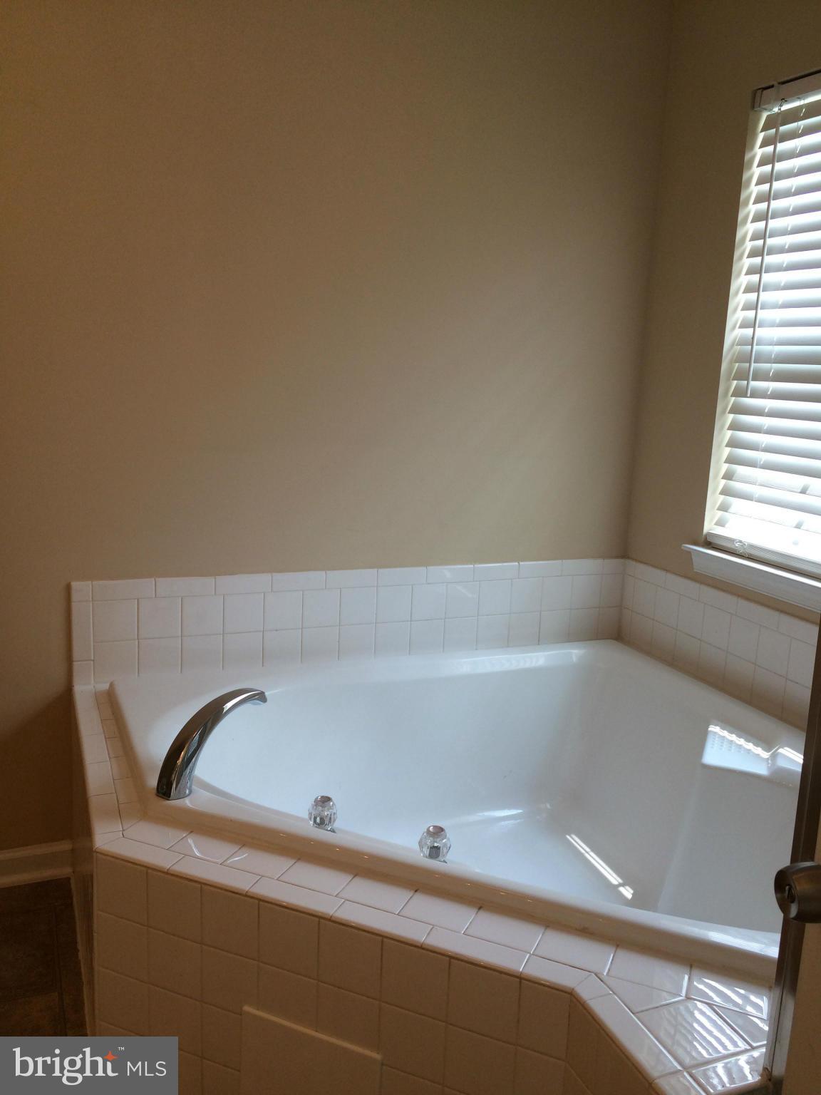 810 Tipton Road Middle River, MD 21220 - Photo 22 of 28 Bath (Master)