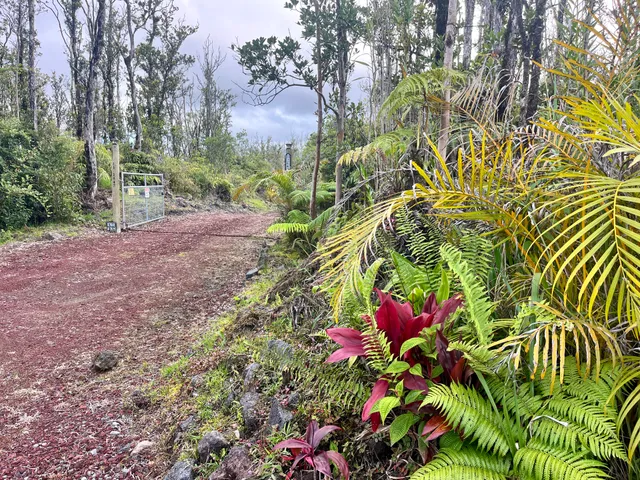 a view of a lake with a yard