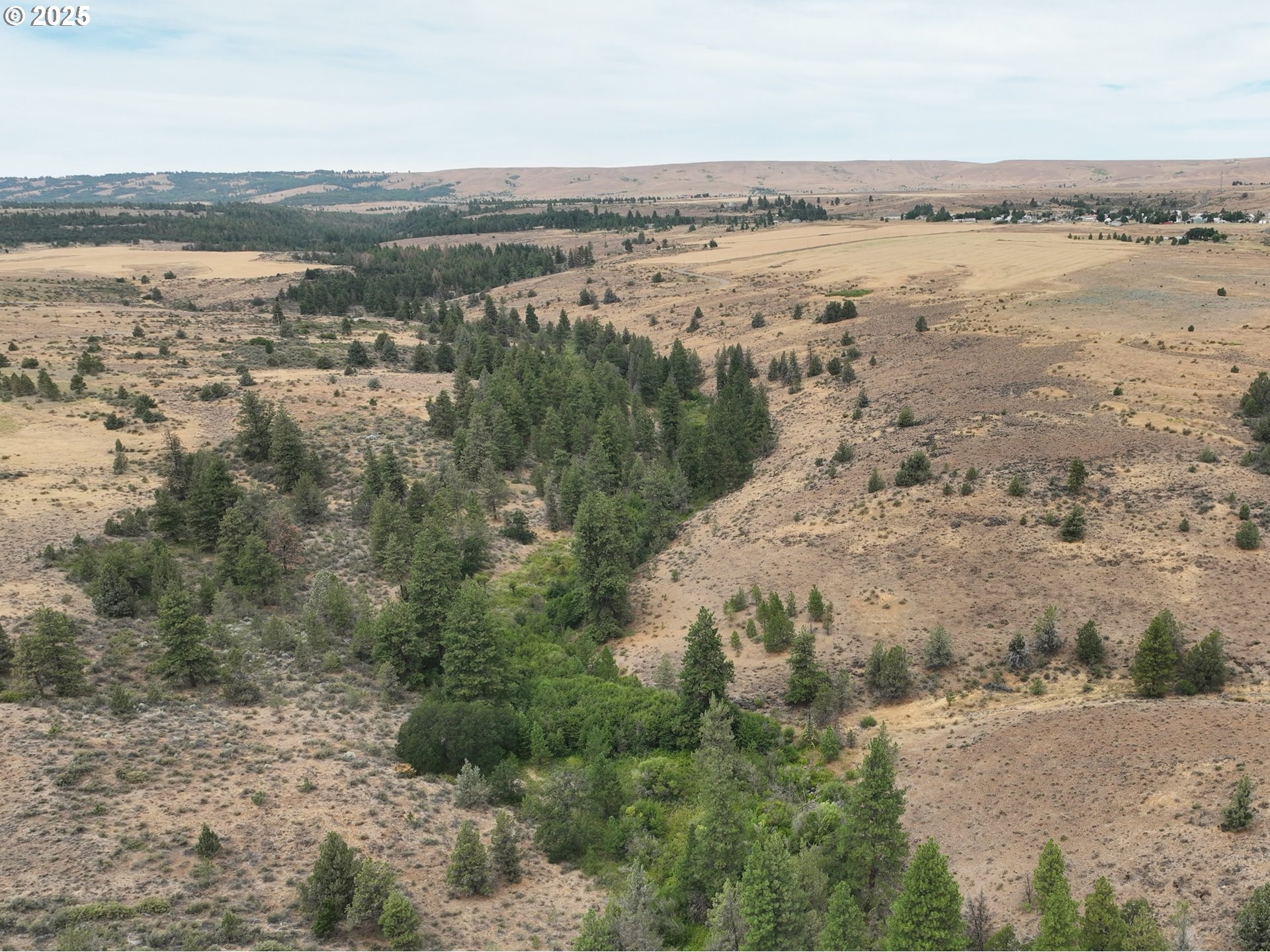 Middle Road Bickleton, WA 99322 - Photo 1 of 15 Gallery Image 1
