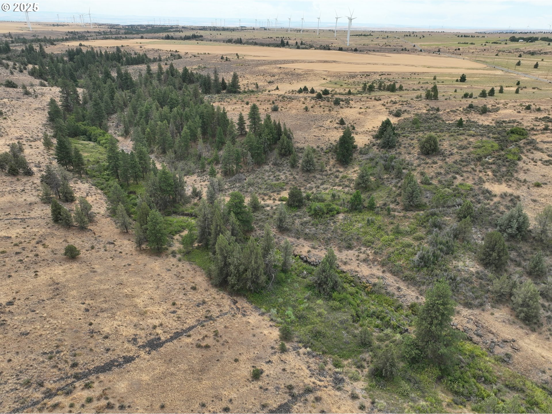 Middle Road Bickleton, WA 99322 - Photo 15 of 15 Gallery Image 15