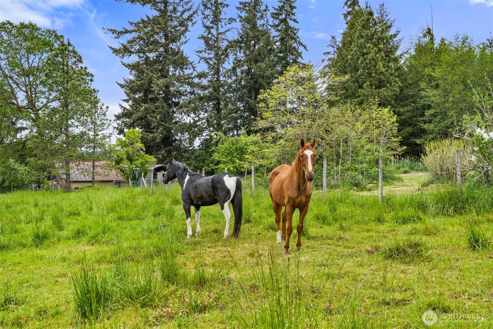 236 Chilvers Road Chehalis, WA 98532 - Photo 29 of 39