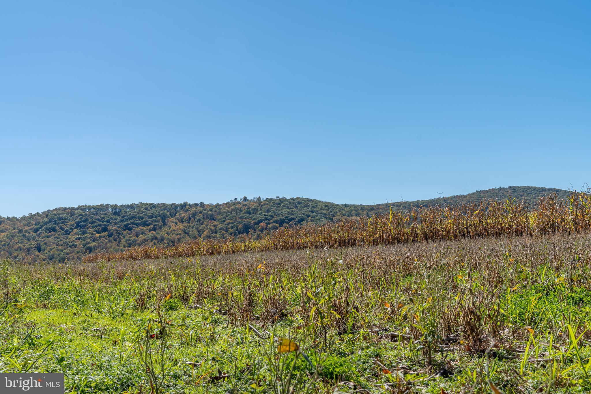 55 Margrow Road Tunkhannock, PA 18657 - Photo 15 of 86