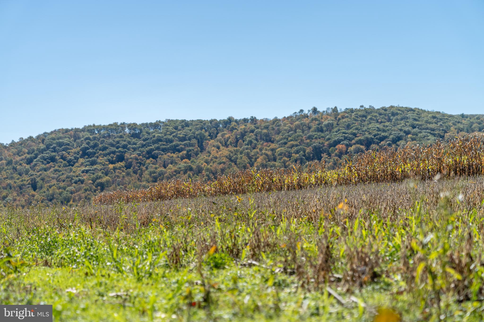 55 Margrow Road Tunkhannock, PA 18657 - Photo 16 of 86