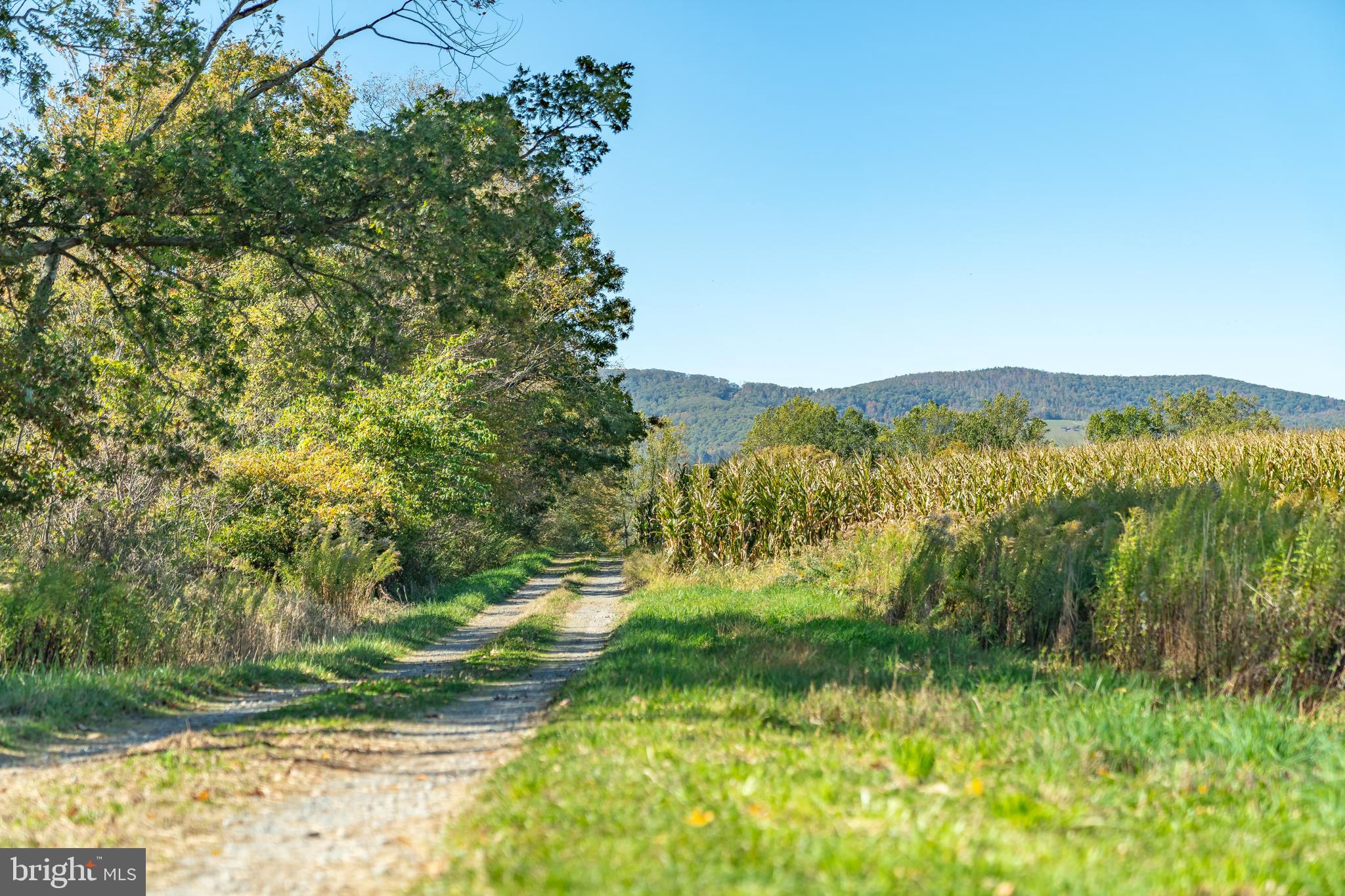 55 Margrow Road Tunkhannock, PA 18657 - Photo 24 of 86