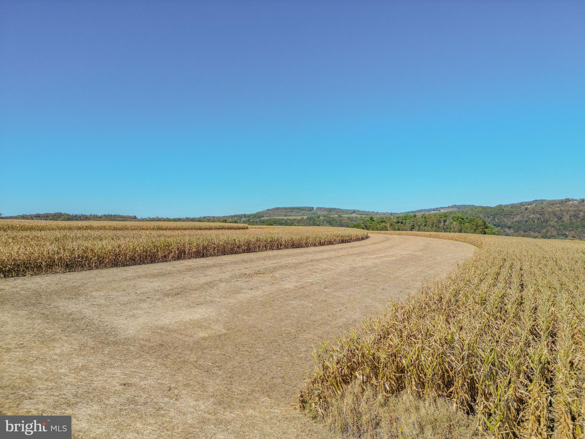 55 Margrow Road Tunkhannock, PA 18657 - Photo 58 of 86