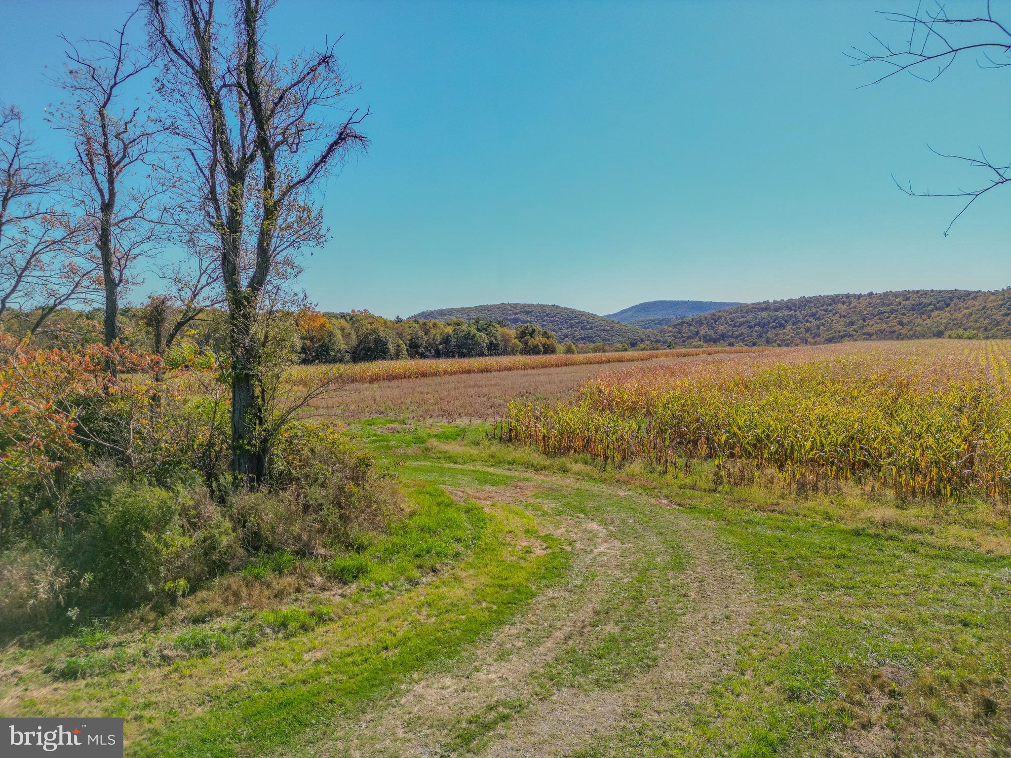 55 Margrow Road Tunkhannock, PA 18657 - Photo 67 of 86