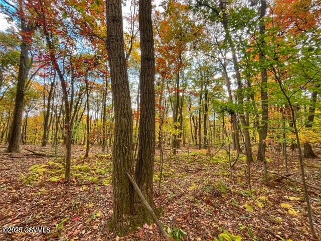 40 Wood Ridge Lane Klingerstown, PA 17941 - Photo 5 of 12