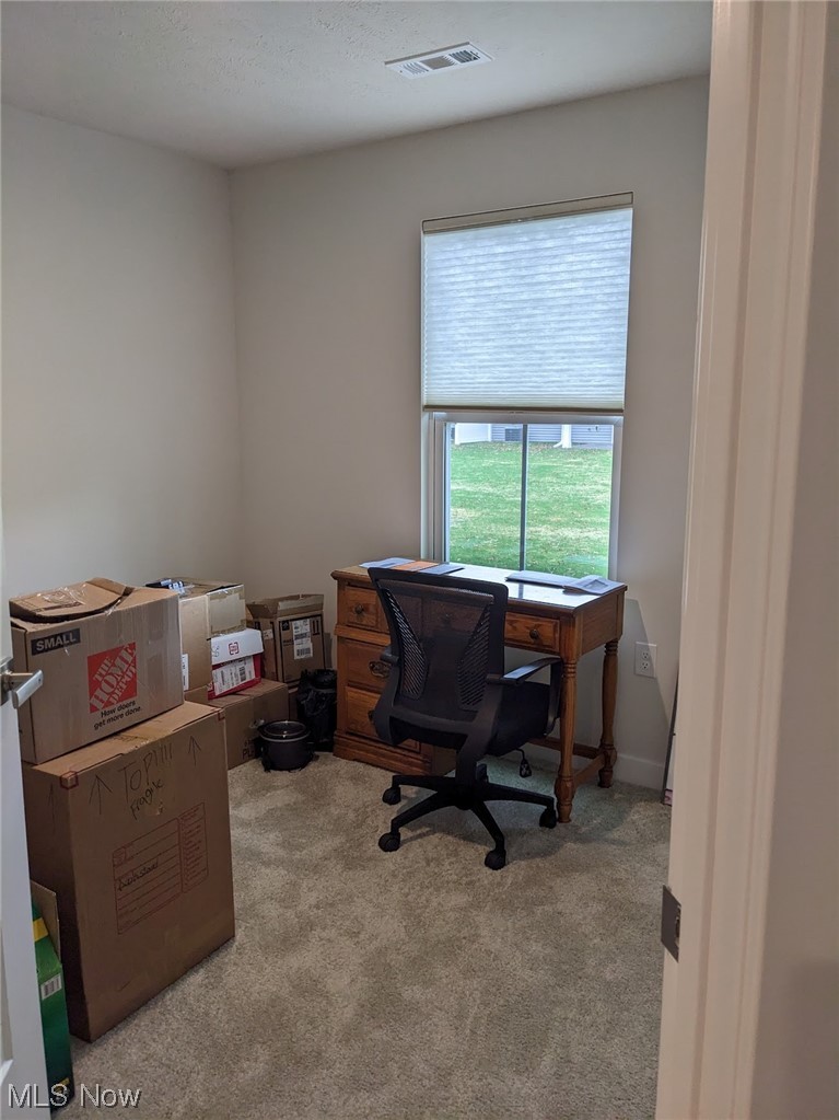 174 West Spring Drive Elyria, OH 44035 - Photo 11 of 19 View of carpeted office