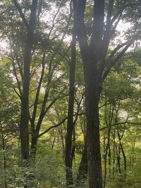 Overton retreat photo
