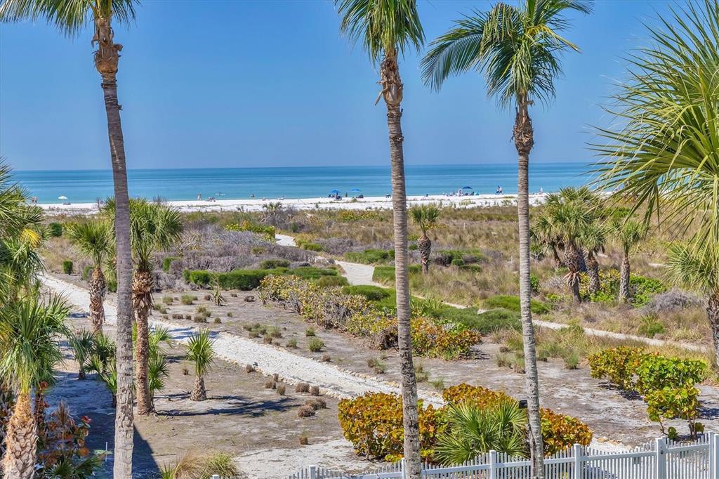 540 Beach Road, Unit 510 Sarasota, FL 34242 - Photo 35 of 96 a view of a palm tree next to a yard