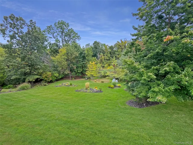 a green field with lots of bushes
