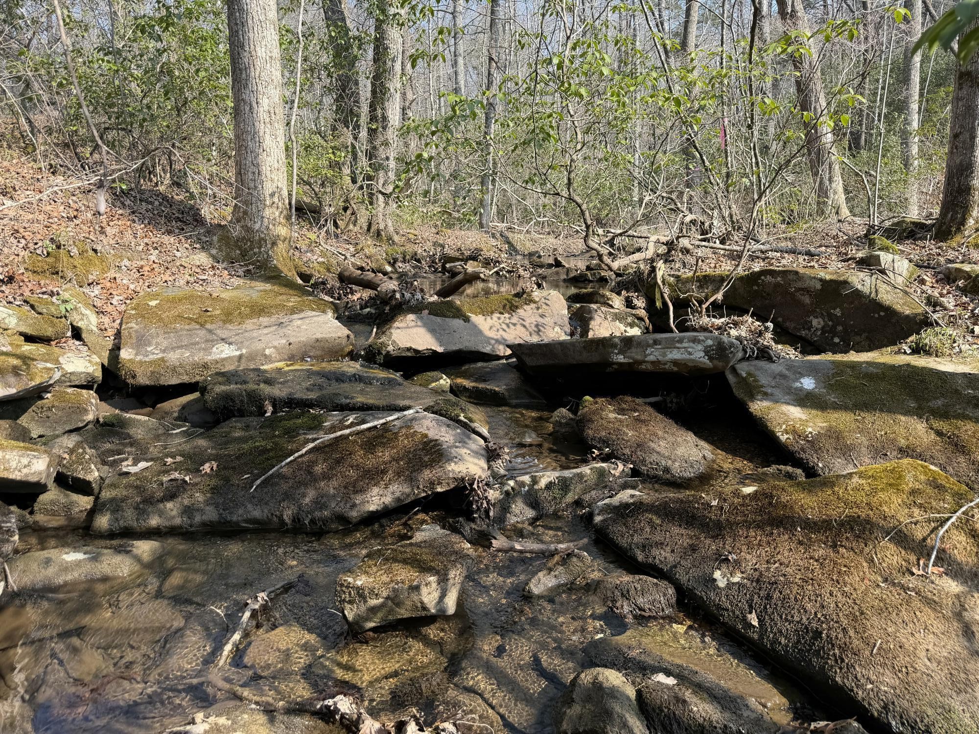 1065 Deerhead Road Dunlap, TN 37327 - Photo 18 of 19 Gallery Image 18