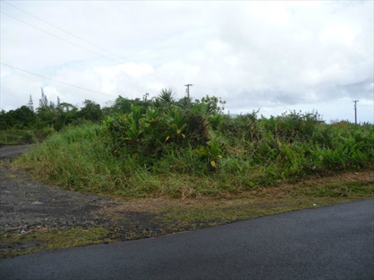 21-58 Kaiwiki Road Hilo, HI 96720 - Photo 3 of 6 a view of a yard with an outdoor space