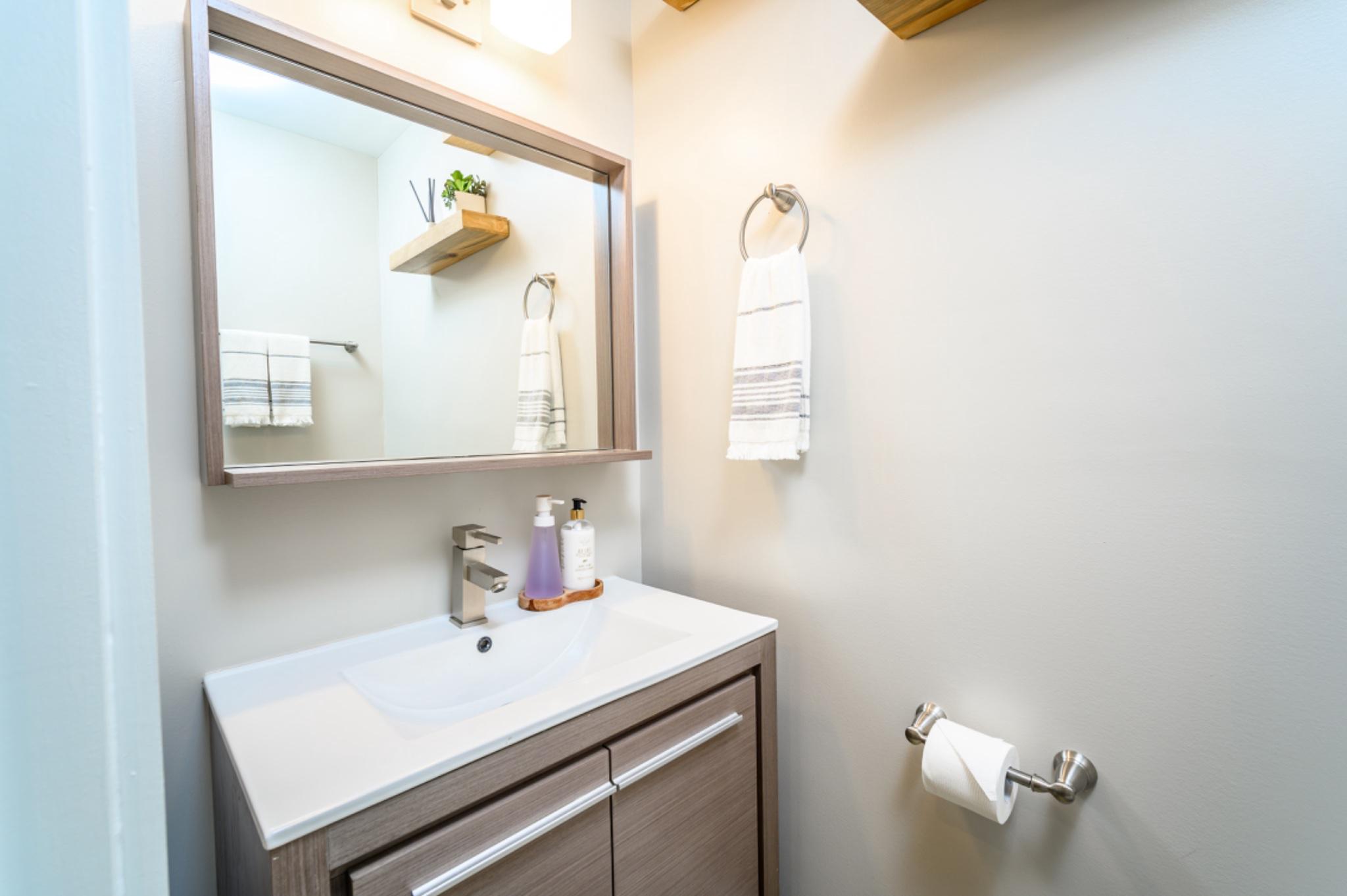 5053 Sheriff Road Northeast Washington, DC 20019 - Photo 19 of 32 Sleek modern Half bathroom with elegance.