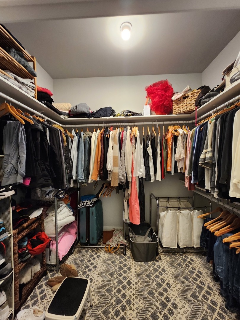 1202 Waukegan Road, Unit 209 Glenview, IL 60025 - Photo 12 of 22 a view of walk in closet with clothes and shoes