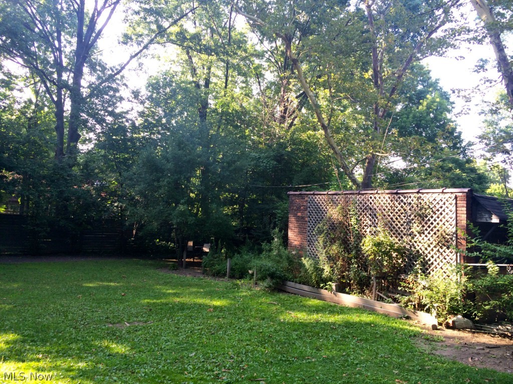 2517 Norfolk Road Cleveland, OH 44106 - Photo 3 of 16 Large backyard.