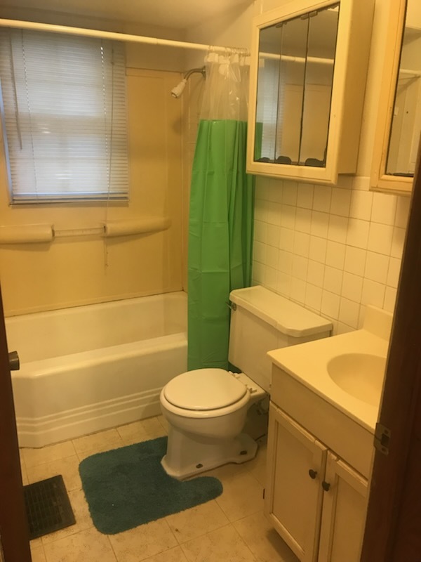 106 South Springer Street Carbondale, IL 62901 - Photo 18 of 20 a bathroom with a toilet and a shower