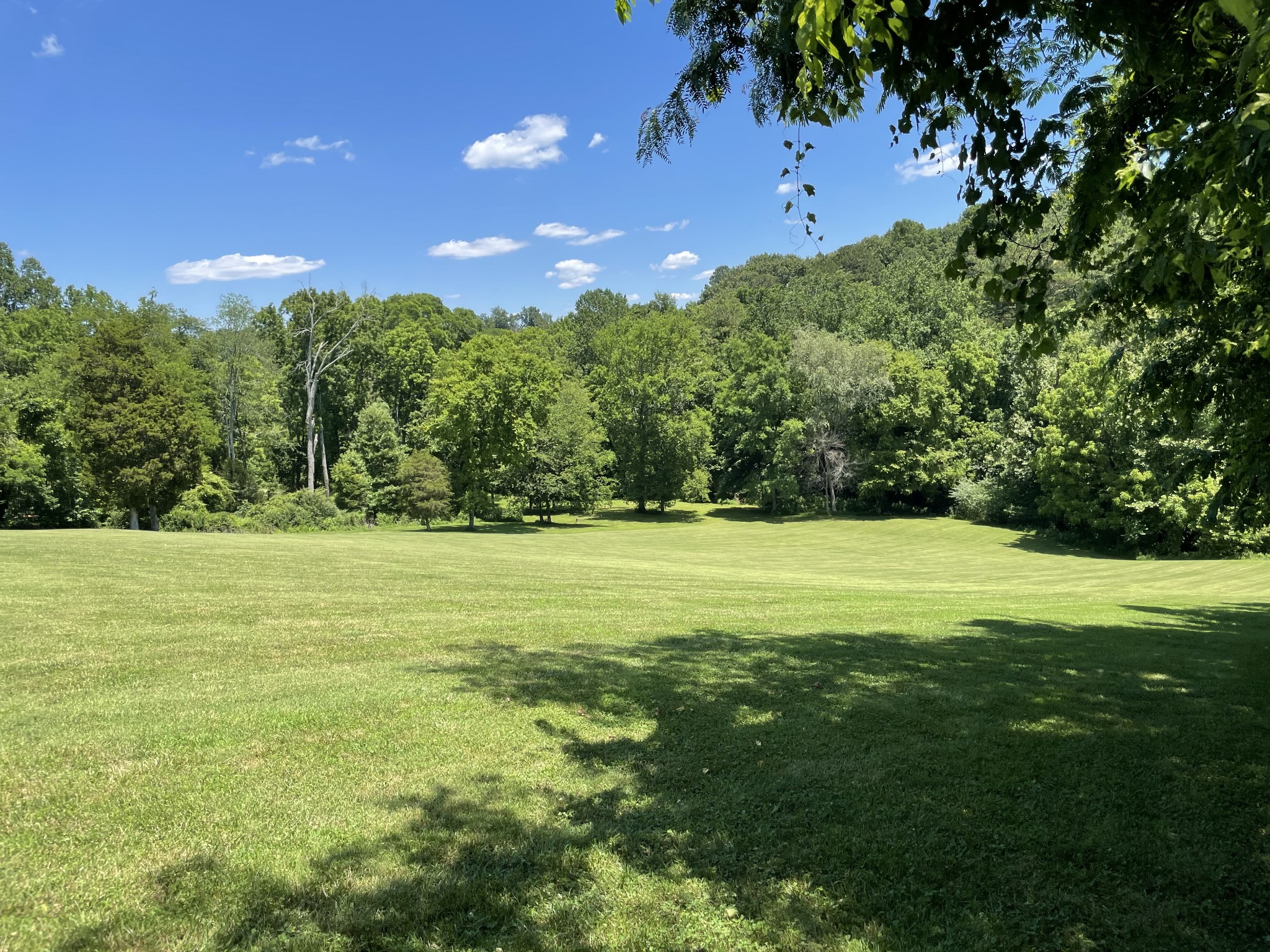 2340 Dunbar Road Woodlawn, TN 37191 - Photo 9 of 15 Gallery Image 9