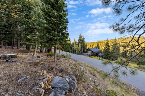 a view of a yard with tree s