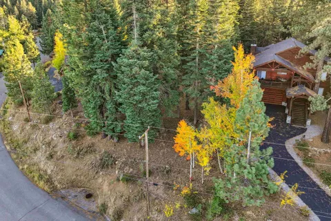 a view of a yard with plants