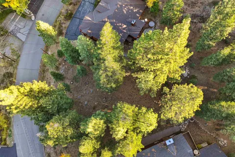 a view of a yard with a tree