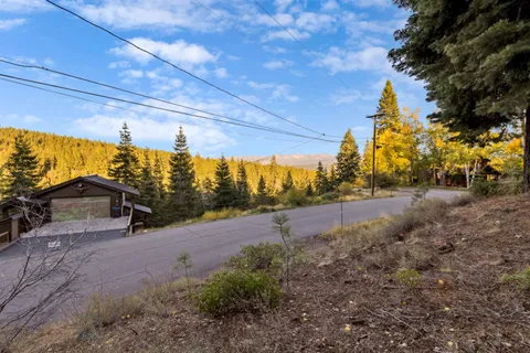 a view of a yard with trees