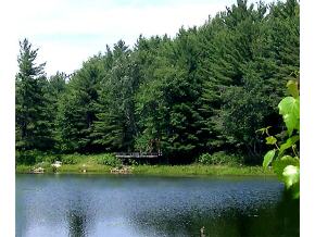 180 4th Road Fitzwilliam, NH 03447 - Photo 9 of 9